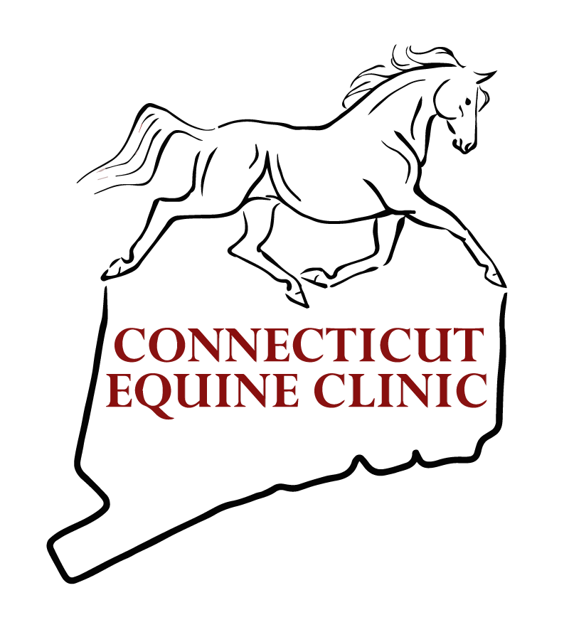 Connecticut Equine Clinic | Health Care for Horses | Coventry, CT
